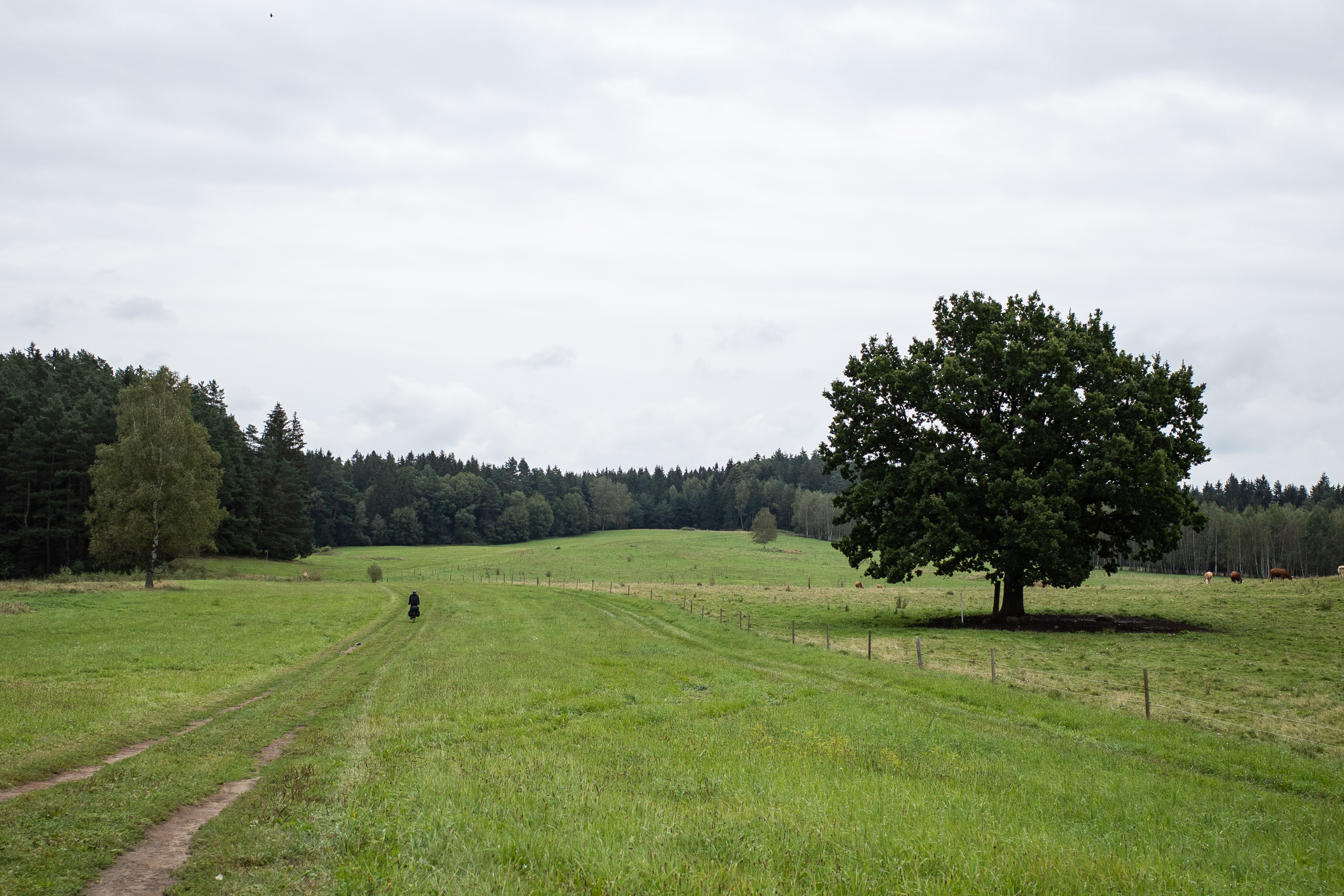 Vyšší Brod – Černé Údolí: Erste Schotterpfade